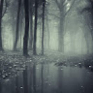 Meet your Posher, Shania